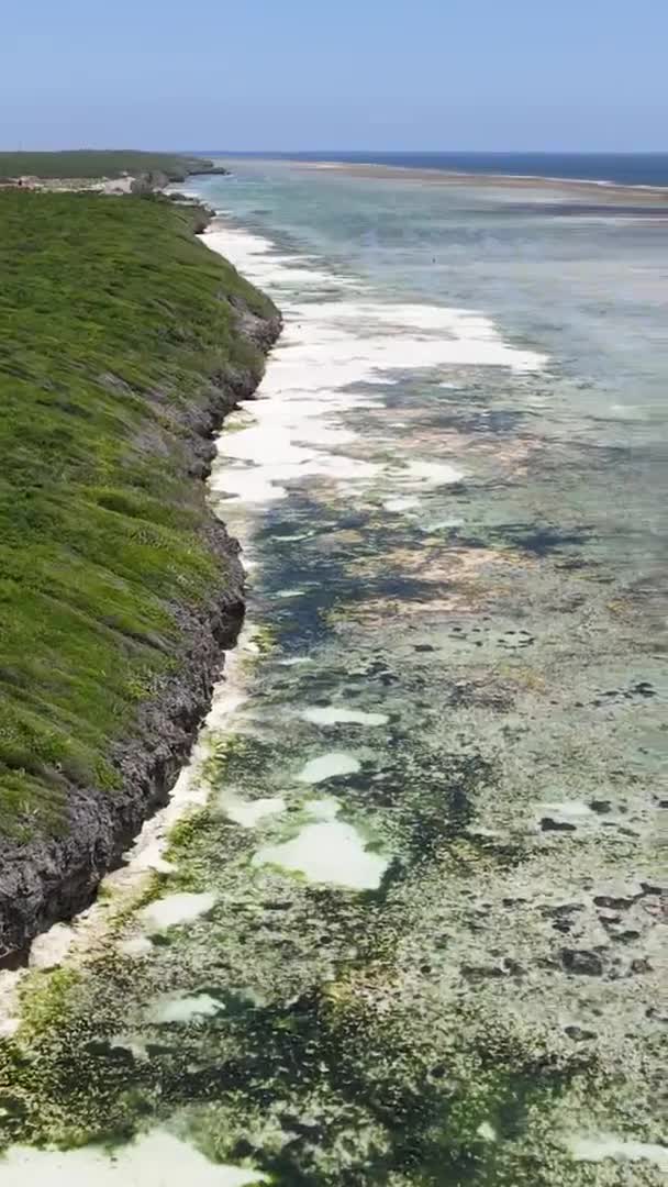 Verticale video van laagwater in de oceaan nabij de kust van Zanzibar, Tanzania, luchtfoto — Stockvideo