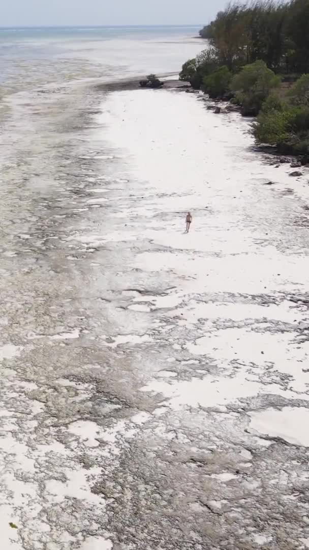 Вертикальне відео про відплив в океані біля узбережжя Занзібару, Танзанія, вигляд з повітря — стокове відео