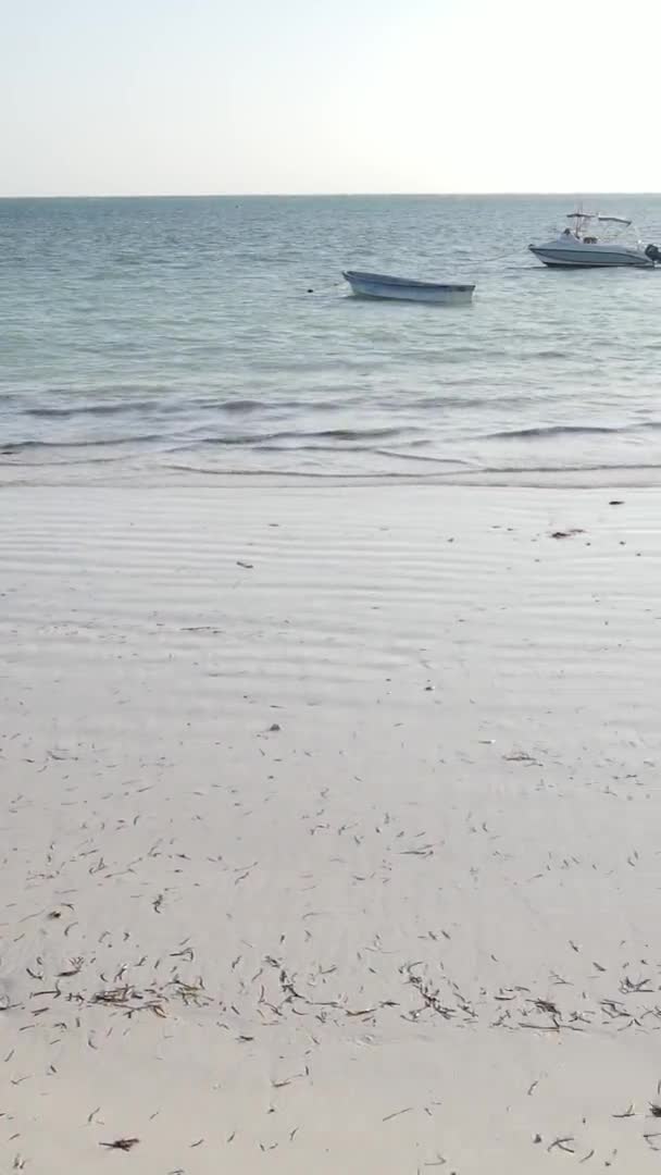 Verticale video van laagwater in de oceaan nabij de kust van Zanzibar, Tanzania, luchtfoto — Stockvideo