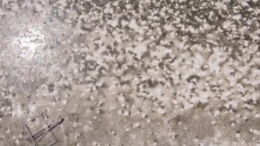 Tanzanya 'nın Zanzibar kıyısındaki okyanusta alçak gelgitin dikey videosu.