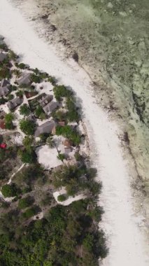 Tanzanya 'nın Zanzibar kıyısındaki okyanusta alçak gelgitin dikey videosu.