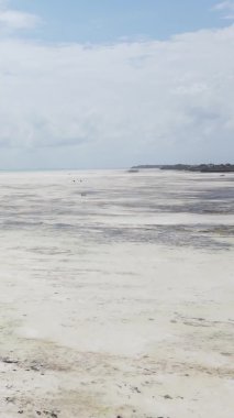 Tanzanya 'nın Zanzibar kıyısındaki okyanusta alçak gelgitin dikey videosu.