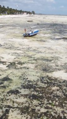 Tanzanya 'nın Zanzibar kıyısındaki okyanusta alçak gelgitin dikey videosu.
