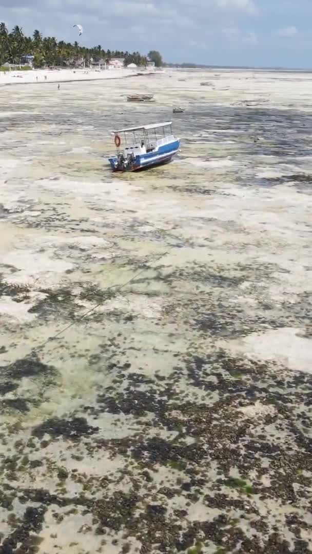 탄자니아 잔지바르 해안 근처 바다에서의 간조를 담은 수직 영상, 공중에서 본 장면 — 비디오