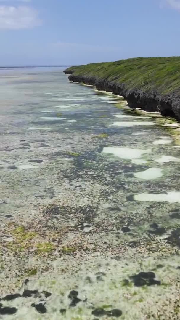 Függőleges videó apályról az óceán partjainál Zanzibár, Tanzánia, légi felvétel — Stock videók