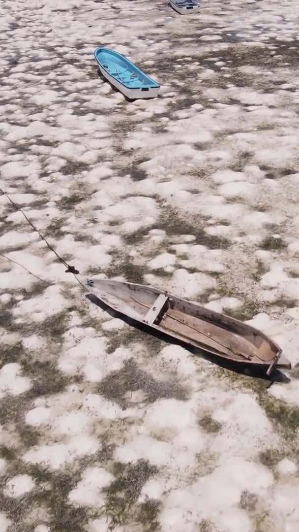 Vidéo verticale de marée basse dans l'océan près de la côte de Zanzibar, Tanzanie, vue aérienne — Video