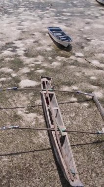 Tanzanya 'nın Zanzibar kıyısındaki okyanusta alçak gelgitin dikey videosu.