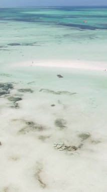 Tanzanya 'nın Zanzibar kıyısındaki okyanusta alçak gelgitin dikey videosu.