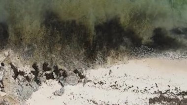 Tanzanya 'nın Zanzibar kıyısındaki okyanusun dikey videosu.