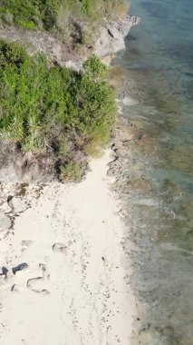 Tanzanya 'nın Zanzibar kıyısındaki okyanusun dikey videosu.