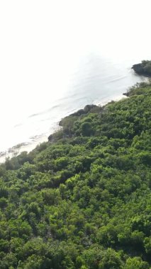 Tanzanya 'nın Zanzibar kıyısındaki okyanusun dikey videosu.