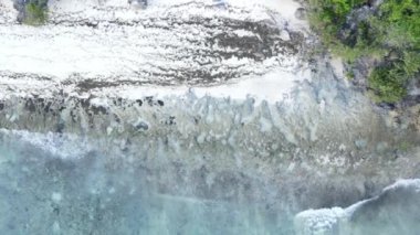 Tanzanya 'nın Zanzibar kıyısındaki okyanusun dikey videosu.