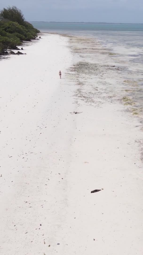 Vertical video of low tide in the ocean near the coast of Zanzibar, Tanzania, aerial view — Stock Video