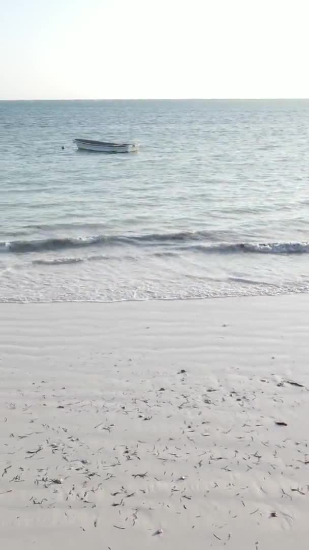 タンザニアのザンジバル海岸近くの海の垂直ビデオ、航空ビュー — ストック動画