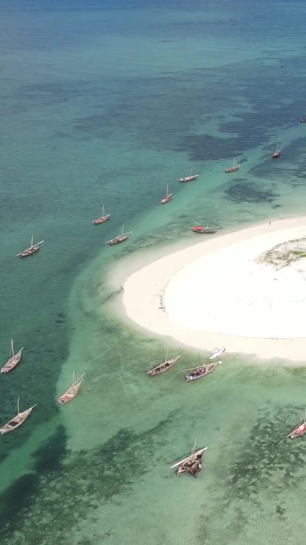 Vidéo verticale de l'océan près de la côte de Zanzibar, Tanzanie, vue aérienne — Video