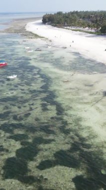 Tanzanya 'nın Zanzibar kıyısındaki okyanusun dikey videosu.