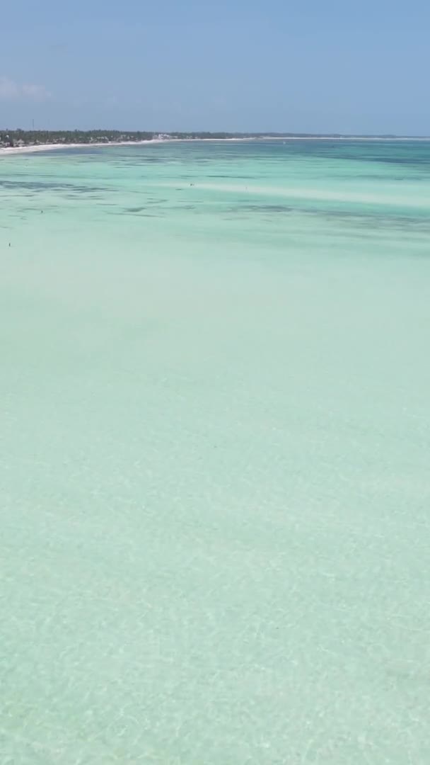 Vidéo verticale de l'océan près de la côte de Zanzibar, Tanzanie, vue aérienne — Video