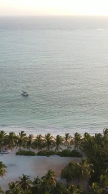 Tanzanya 'nın Zanzibar kıyısındaki okyanusun dikey videosu.