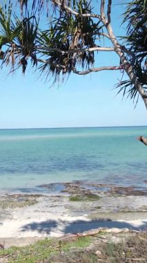 Tanzanya 'nın Zanzibar kıyısındaki okyanusun dikey videosu.