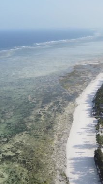 Tanzanya 'nın Zanzibar kıyısındaki okyanusun dikey videosu.