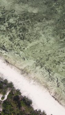 Tanzanya 'nın Zanzibar kıyısındaki okyanusun dikey videosu.