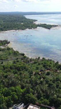 Tanzanya 'nın Zanzibar kıyısındaki okyanusun dikey videosu.