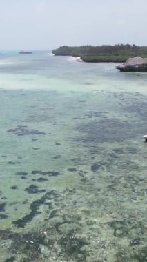 Tanzanya 'nın Zanzibar kıyısındaki okyanusun dikey videosu.