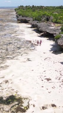 Tanzanya 'nın Zanzibar kıyısındaki okyanusun dikey videosu.