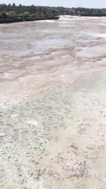 Tanzanya 'nın Zanzibar kıyısındaki okyanusun dikey videosu.