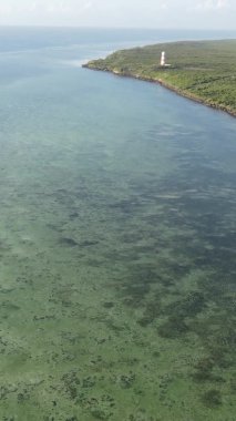 Tanzanya 'nın Zanzibar kıyısındaki okyanusun dikey videosu.