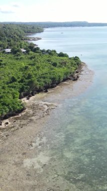 Tanzanya 'nın Zanzibar kıyısındaki okyanusun dikey videosu.