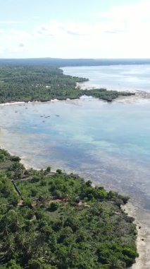 Tanzanya 'nın Zanzibar kıyısındaki okyanusun dikey videosu.