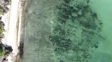 Tanzanya 'nın Zanzibar kıyısındaki okyanusun dikey videosu.