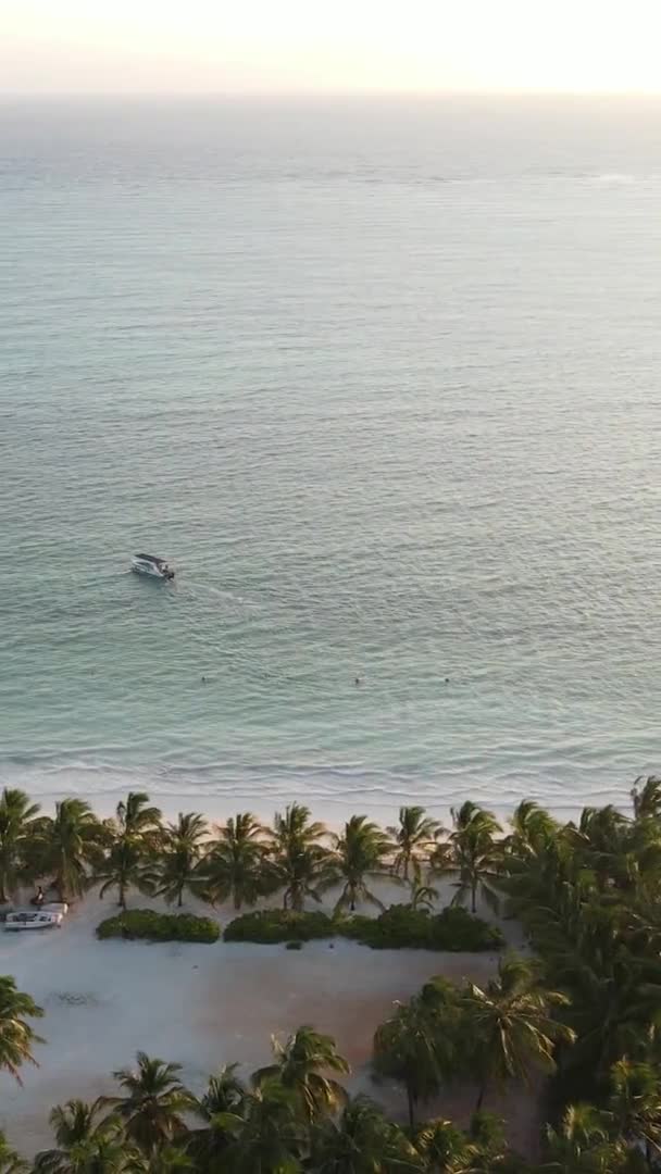 Pionowe wideo oceanu w pobliżu wybrzeża Zanzibaru, Tanzania, widok z lotu ptaka — Wideo stockowe