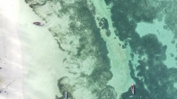Vídeo vertical del océano cerca de la costa de Zanzíbar, Tanzania, vista aérea — Vídeos de Stock