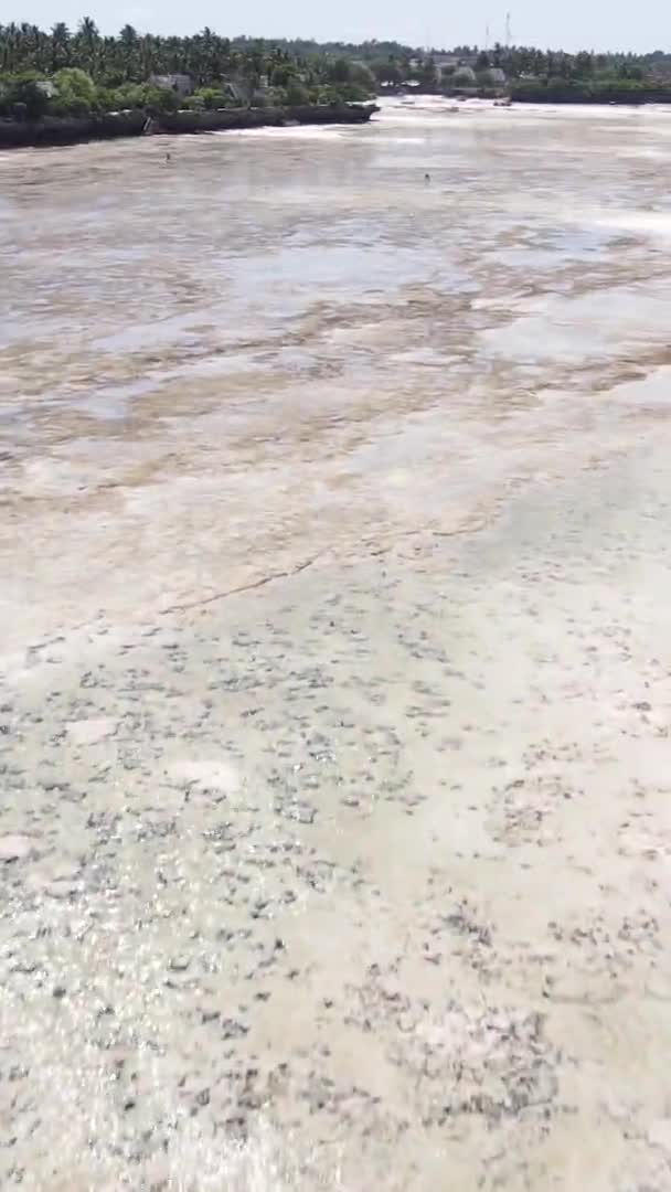 Pionowe wideo oceanu w pobliżu wybrzeża Zanzibaru, Tanzania, widok z lotu ptaka — Wideo stockowe