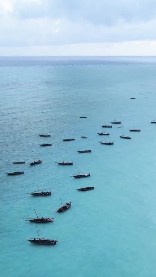 Függőleges videó az óceán partjainál Zanzibár, Tanzánia, légi felvétel — Stock videók