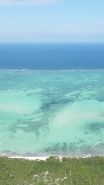 Tanzanya 'nın Zanzibar kıyısındaki okyanusun dikey videosu.
