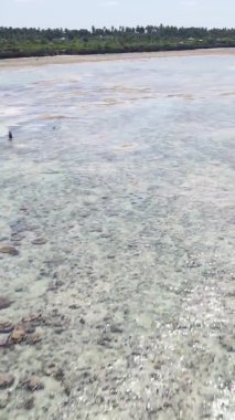 Tanzanya 'nın Zanzibar kıyısındaki okyanusun dikey videosu.
