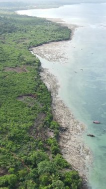 Tanzanya 'nın Zanzibar kıyısındaki okyanusun dikey videosu.