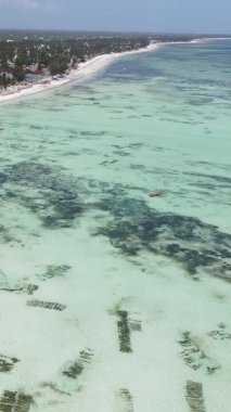 Tanzanya 'nın Zanzibar kıyısındaki okyanusun dikey videosu.