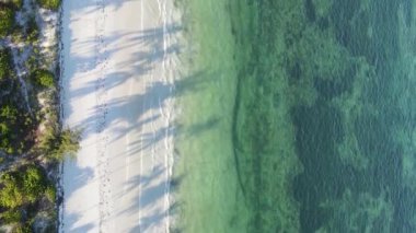 Tanzanya 'nın Zanzibar kıyısındaki okyanusun dikey videosu.