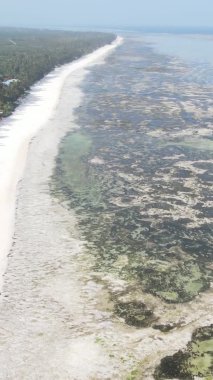 Tanzanya 'nın Zanzibar kıyısındaki okyanusun dikey videosu.