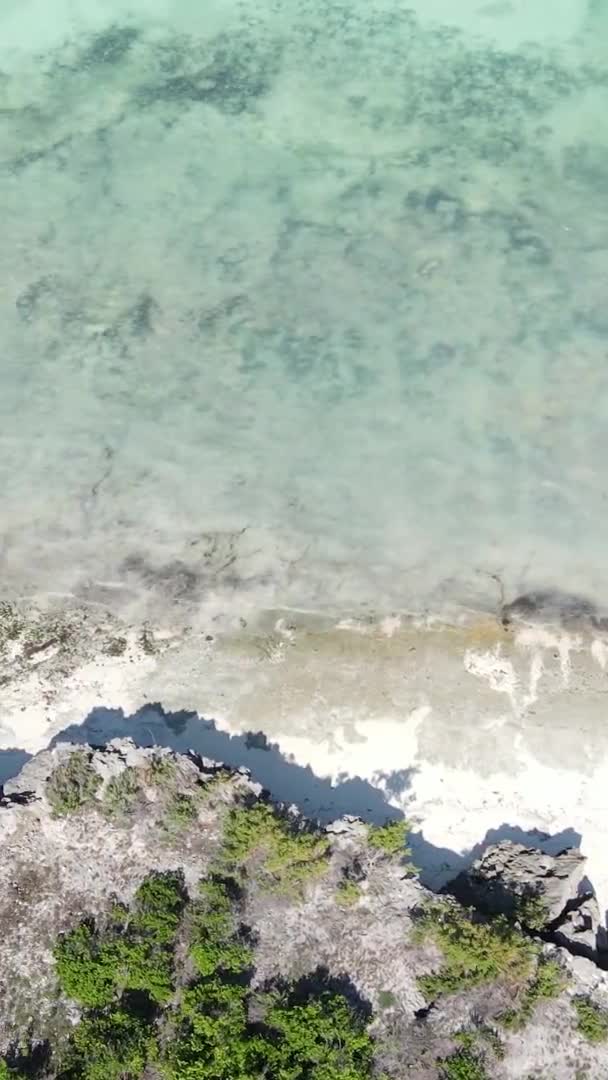 Függőleges videó az óceán partjainál Zanzibár, Tanzánia, légi felvétel — Stock videók