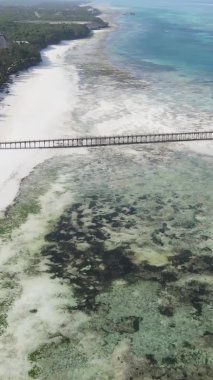 Tanzanya 'nın Zanzibar kıyısındaki okyanusun dikey videosu.