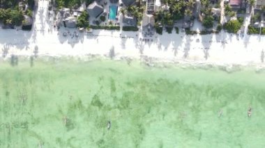Tanzanya 'nın Zanzibar kıyısındaki okyanusun dikey videosu.