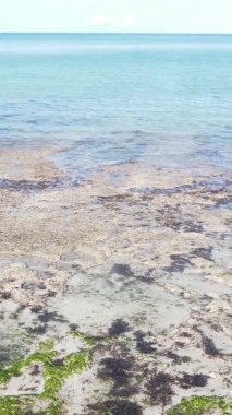 Tanzanya 'nın Zanzibar kıyısındaki okyanusun dikey videosu.