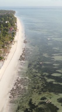 Tanzanya 'nın Zanzibar kıyısındaki okyanusun dikey videosu.