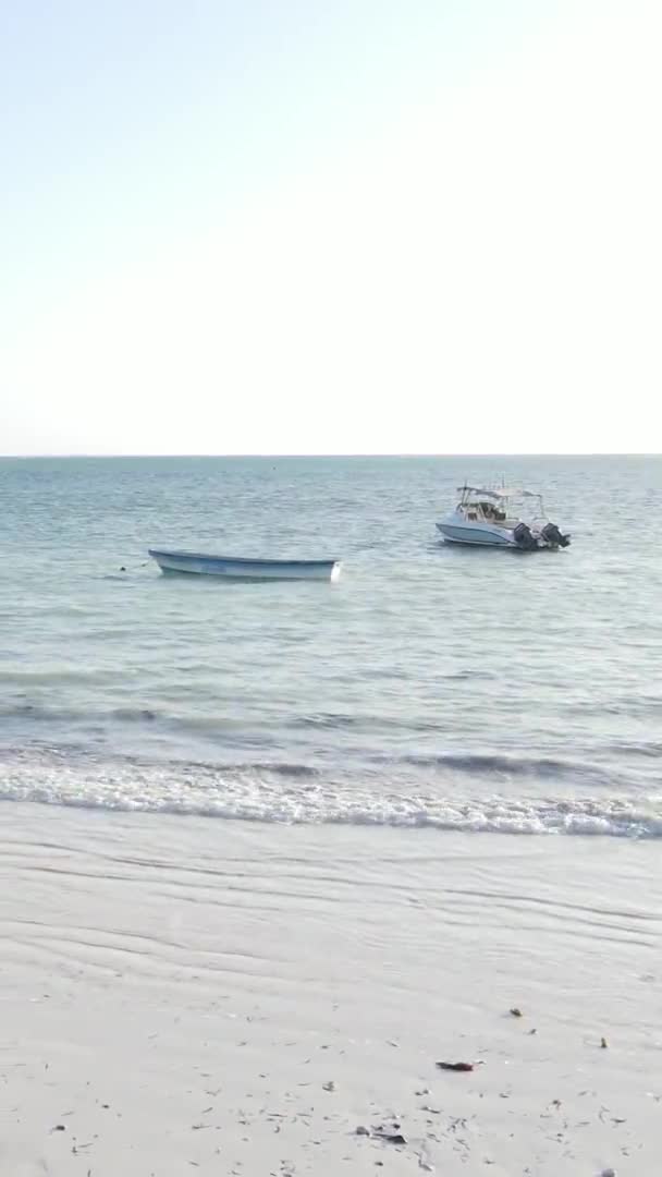 Verticale video van de oceaan bij de kust van Zanzibar, Tanzania, luchtfoto — Stockvideo