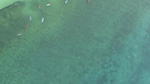 Κάθετη βίντεο του ωκεανού κοντά στην ακτή της Ζανζιβάρης, Τανζανία, εναέρια άποψη — Αρχείο Βίντεο